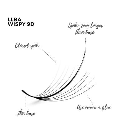 LLBA 9D 0.05 Handmade Wispy Lash Extensions | 100% Volume Fans | C Cc D Curls | 9-17mm Length | Long-Lasting | Easy Application | C 10mm - Buy Online on GoSupps.com