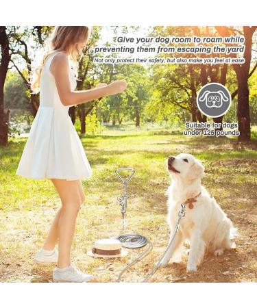 16ft Dog Tie Out Cable with Spiral Ground Stake - Up to 120lb Dogs - Perfect for Playing, Camping, and Backyard - White - Buy Online on GoSupps.com