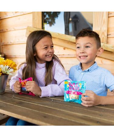 Rule Breaker Snacks Vegan Gluten Free Variety Pack Blondie Brownie Cookies | Plant-Based Dairy Nut Soy Allergen Free Kosher | Soft-Baked Lunchbox Snacks for Kids & Adults | Birthday Cake Blondie & Chocolate Chip Brownie - Pack of 4 - 1.9 oz - Buy Online on GoSupps.com