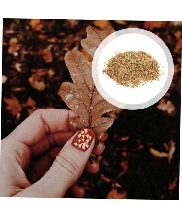 Mikinona 1 Glass Chip Nail Art Flakes Broken Glass Mini Wooden Decorations Diy Epoxy Filling Irregular Glass Glitter Nail Art Stone Glass Nail Charm Nail Gem Accessories Manicure 0.5X0.3cm Golden - Buy Online on GoSupps.com