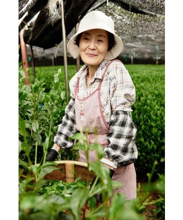 Kumiko Matcha Premium Organic Matcha Tea 30g - Buy Online on GoSupps.com