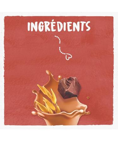 BJORG- Boisson Avoine Cacao - La brique de 1l - Buy Online on GoSupps.com