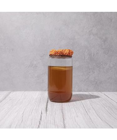 Kombucha Full Starter Kit With Blighty Baby SCOBY - Make your own Kombucha at home - Buy Online on GoSupps.com