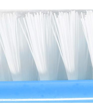 TRIXES Nail Brush - Pack of 3 -Travel Accessories for Cleaning Nails Assorted Colours Cleaning Beauty Aid for Fingernails - with Crystal Body Pink Purple and Blue - Buy Online on GoSupps.com