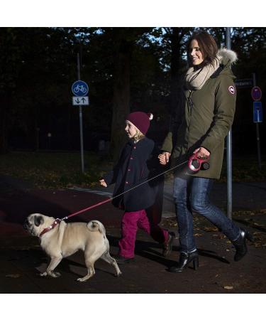 Flexi attachment LED Lighting System Black for dog walking - Buy Online on GoSupps.com