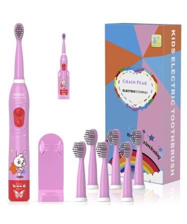 Kids Sonic Electric Toothbrush Rechargeable Smart Toothbrush for Children Toothbrush for Toddlers Boys Girls Age 3-12 with 30s Reminder 2 Mins Timer 6 Modes 2 Brush Heads(8630 Pink+ 2 Heads) 8630 Pink+ 6 Heads+holder(package Might Vary)