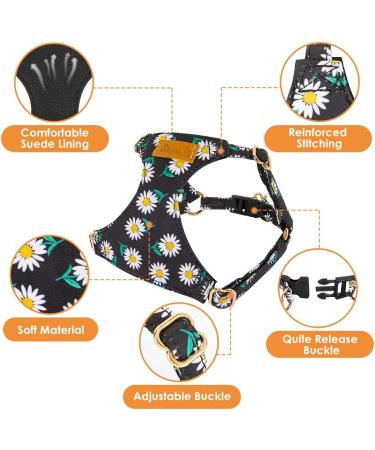 Eyein No Pull Small Dog Harness & Lead Set - Adjustable Lightweight Vest Harness for Small Dogs - Escape Proof & Easy Fit - XXS Black - Buy Online on GoSupps.com