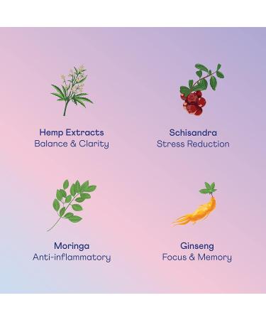 Daydream BlackBerry Chai Sparkling Water 355 Grams 12 Count - Buy Online on GoSupps.com