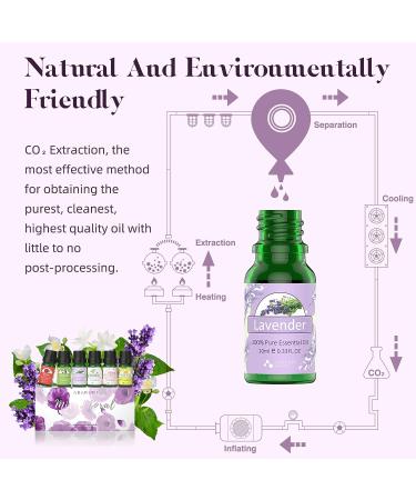 ASAKUKI Floral Essential Oils Set - Jasmine, Ylang Ylang, Rose, Lavender, Cherry Blossom, Gardenia - 10ml Premium Fragrance Oil for Aromatherapy, Hair Care, Candle & Soap Making - Buy Online on GoSupps.com