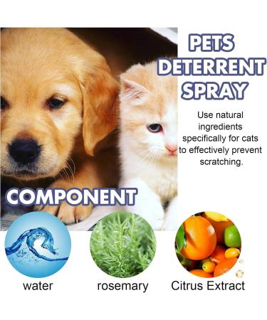 Segminismart Scratch-Resistant Spray - Anti-Scratch Protection for Cats & Dogs | Safe Home Defense for Furniture Sofas & Tables | 50ml - Buy Online on GoSupps.com