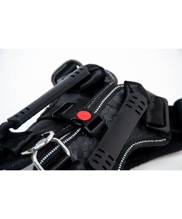 DogMaster 2.0 XL Dog Safety Belt - Black | Premium Pet Travel Harness for Dogs | International Shipping Available - Buy Online on GoSupps.com