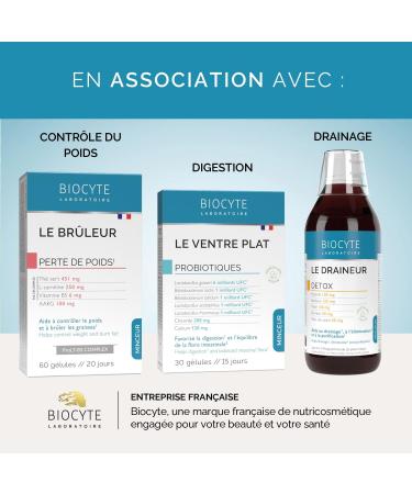 BIOCYTE Le Capteur - Complement Alimentaire Coupe Faim - Konjac Gymnema Sylvestre Chrome Vitamine B1-60 g lules - Programme de 20 Jours - Buy Online on GoSupps.com
