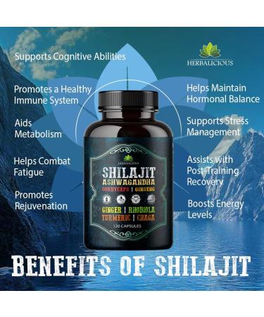 Shilajit for Men 8-in-1 Adaptogenic Supplement with Ashwagandha Cordyceps Ginseng Rhodiola Turmeric Chaga & Ginger Natural Energy Stress Relief & Immune Support 120 Vegan Capsules - Buy Online on GoSupps.com