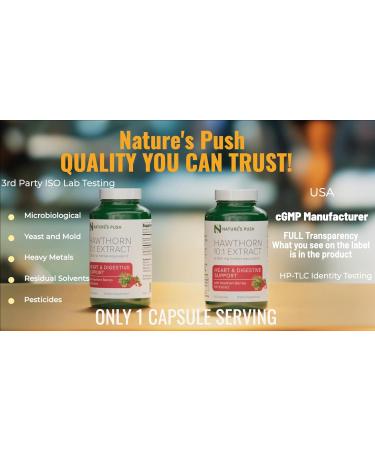 Nature's Push Super Potent Hawthorn Berry Supplement 10:1 Extract 675mg Capsules for Digestion Heart Health Glycemic Support-Extra Strength Non-GMO Gluten Free Vegan GMP USA (60 Count (Pack of 1)) - Buy Online on GoSupps.com