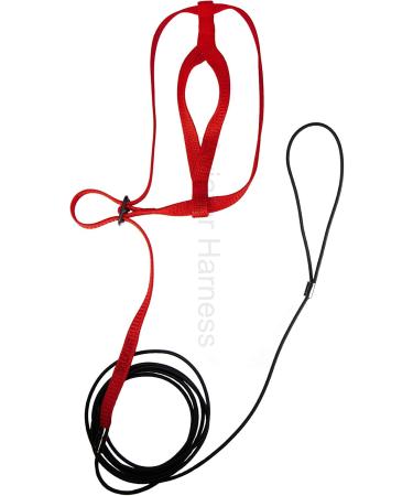 The Aviator Bird Harness for Small Birds - Red | Secure & Stylish Flight Experience - Buy Online on GoSupps.com