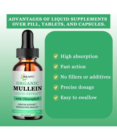 Mullein Drops for Lungs - Immune Support Detox & Respiratory Aid | Non-GMO Gluten-Free 2 Fl Oz - Buy Online on GoSupps.com