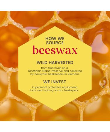 Burts Bees Beeswax Bounty Lip Balm Gift Set - 0.15 OZ | Natural Ingredients - Buy Online on GoSupps.com