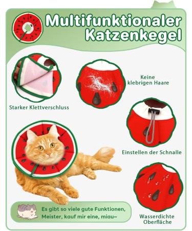 Supet Rewrise Cat Adjustable Recovery Collar - Watermelon Size S (14-23cm) - Post-Surgery & Injury Protection for Cats - Buy Online on GoSupps.com