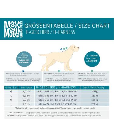 Max & Molly H-Shaped Dog Harness for Small Dogs | Ultra-Comfortable Neoprene XS Tropical | Padded & Lightweight Safety - Buy Online on GoSupps.com