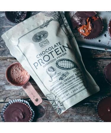 Anima Mundi Chocolate Protein Superfood Powder - Organic Vegan Plant-Based Protein for Energy & Strength - Nutrient-Dense Adaptogen Blend (567g - Buy Online on GoSupps.com