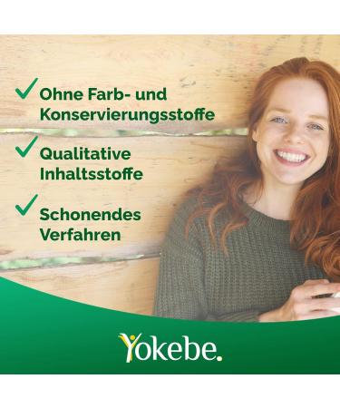 YOKEBE Classic Diethake - Gluten-Free Vegetarian Weight Loss Meal | 6x500g (12 Portions) - High-Quality Protein - Buy Online on GoSupps.com