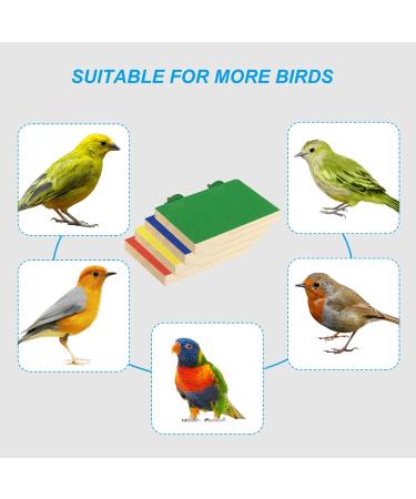 Patikil Bird Perch Stand Platform - Wooden Playground for Small Birds & Parrots - Paw Grinding & Cleaning Accessories - Green & Blue - Buy Online on GoSupps.com