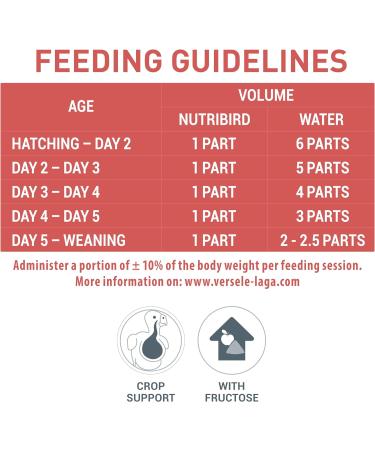 Versele-Laga NutriBird A21 - Premium Hand-Rearing Bird Food (250g) | High Protein for Healthy Growth - Buy Online on GoSupps.com