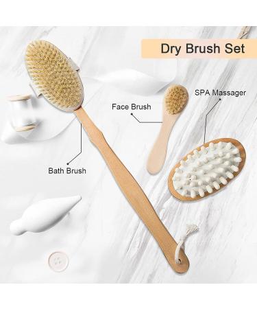 3-Piece Dry Brush Set for Cellulite & Lymphatic Massage | Natural Boar Bristles Exfoliating Body Brush with Long Handle, Face Brush & Cellulite Massager - Dead Skin Remover - Buy Online on GoSupps.com