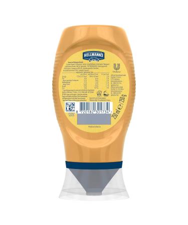 Hellmann's Cheese Style Sauce - Savory Barbecue Sauce for Burgers & Nachos | 8x250ml - International Shipping Available - Buy Online on GoSupps.com