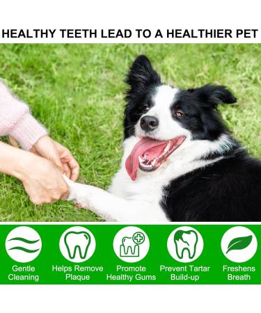 Dental Care Towels for Dogs & Cats | 50-Piece Pet Finger Wipes for Plaque Gum Care & Tartar Removal - Buy Online on GoSupps.com
