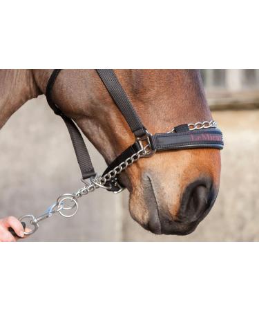 LeMieux Pro-Safe Headcollar for Horses & Ponies in Black - Adjustable for Perfect Control in Hand Use Only Full Black - Buy Online on GoSupps.com