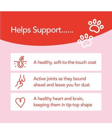 YuM by YuMOVE Super Salmon Oil | Natural Omega-3,6,9 Fish Oil Supplement | 500ml for Dogs and Cats - Buy Online on GoSupps.com