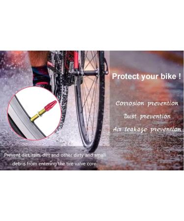 4-PCS Aluminum Alloy Bicycle Valve Caps | Multi Color Presta Valve Cap | Sclaverand & French Valve Bike Tire Caps (Blue Gray Green Silver Purple) - Buy Online on GoSupps.com