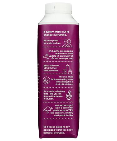 JUST WATER Blackberry Water - Hydrating Natural Drink, 16.9 fl oz - Buy Online on GoSupps.com