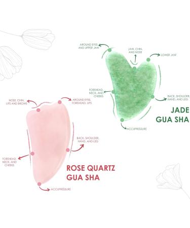 Fuasha Gua Sha Facial Tools Set - Premium 2-in-1 Jade & Rose Quartz | Lymphatic Drainage Massage Stone for Face | Sculpting Pack & Guasha Tool - Buy Online on GoSupps.com