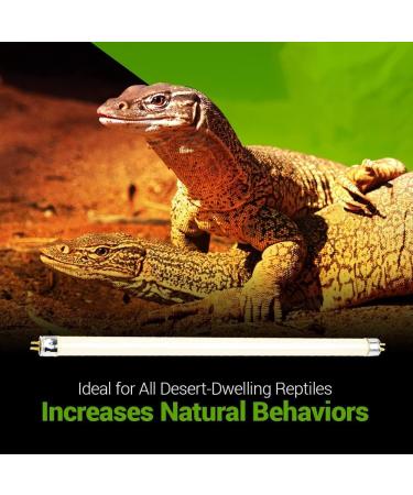 2 Pack 8W-Watt T5 HO Reptile Light Desert UVA UVB 10.0 Fluorescent Tube - 12" Terrarium Hood Light Suitable for Desert Reptile Lizards Bearded Dragons & Promotes Natural Behavior UVB Bulb 8W - 12 Inch UVB 10.0 - Buy Online on GoSupps.com