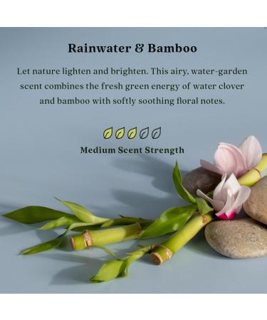 Buy Enviroscent Non-Toxic Air Freshener - Rainwater & Bamboo | Long-Lasting Home Fragrance | 8 Essential Oil Diffuser Refills | International Shipping Available - Buy Online on GoSupps.com