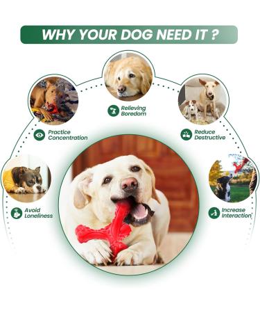 Shop Cvalin Dog Toys for Large Breeds | Aggressive Chew Cubes & Dental Cleaning Stick - Red - Buy Online on GoSupps.com