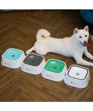 Lumoleaf 1L No-Drool Dog Water Bowl | Leak-Proof Anti-Schwapp Travel-Friendly Cat & Dog Dispenser (Green) - Buy Online on GoSupps.com