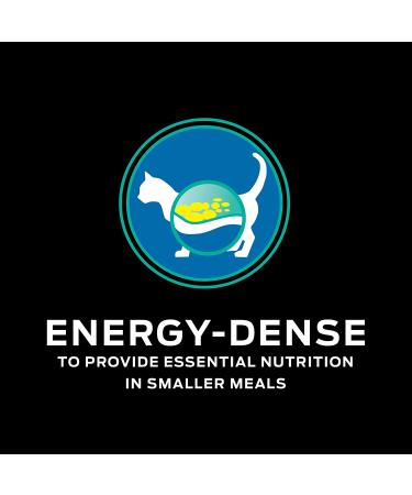 Purina Pro Plan EN Gastroenteric Naturals Feline Dry Cat Food - 6 lb Bag - Buy Online on GoSupps.com