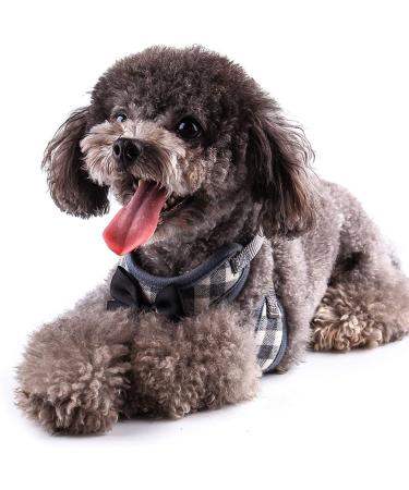 Rypet Small Dog Harness and Leash Set - No Pull Soft Mesh Nylon Vest for Small Cats and Dogs (3-7 lbs) - Gray - Buy Online on GoSupps.com