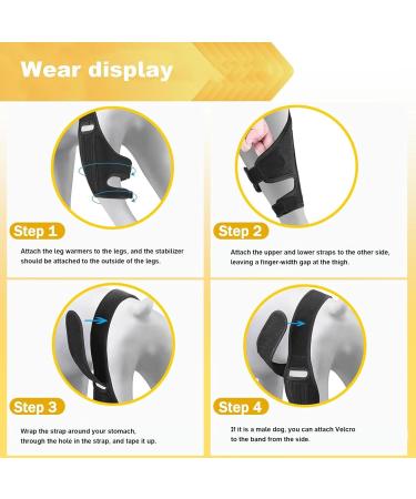 Dog Knee Brace - with 10 Support Sticks Dog Back Leg Brace - Comfortable Hip and Leg Protector Breathable for Small Senior and Disabled Dogs - Buy Online on GoSupps.com
