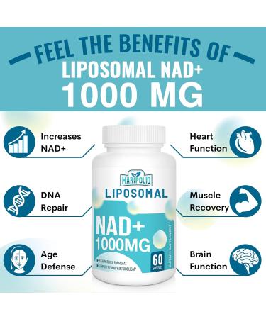 Liposomal NAD+ 1000 mg Supplement | High Bioavailability Liposomal Delivery | Cellular Energy & Wellness Support | Pure NAD+ Dietary Supplement for Men Women 60 Softgels 60 Count (Pack of 1) - Buy Online on GoSupps.com