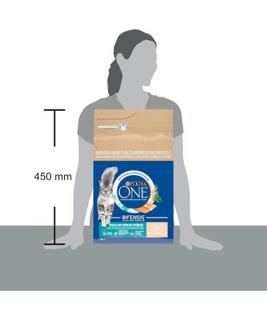 PURINA ONE Bifensis Special Indoor Sterilized Cat | Trout and Whole Grain Dry Food for Adult Cats | 3kg Bag - Buy Online on GoSupps.com