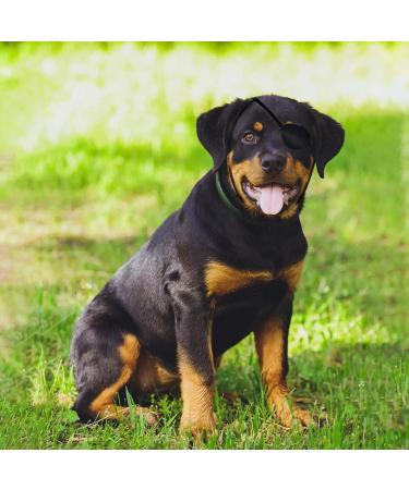 YEXEXINM 3pcs Upgrade Dog Eye Patch Premium Dog Single Eyepatch Protective Eye Cover for Small Medium Large Dogs Cats with Eye Injuries and Wounds - Buy Online on GoSupps.com