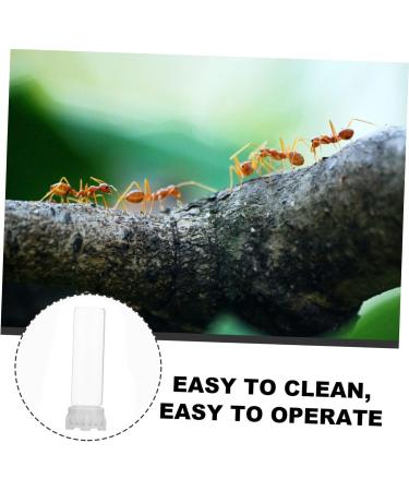 Yardwe Ants Water Dispenser & Irrigation Cup | Ant Feed & Holder Tools for Ant Nests | 10x3 cm - Buy Online on GoSupps.com