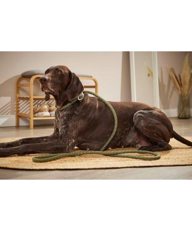 Moxon Leash Everest Reflective 9mm/180cm - Lime & Black | Premium Dog Leash for International Shipping - Buy Online on GoSupps.com