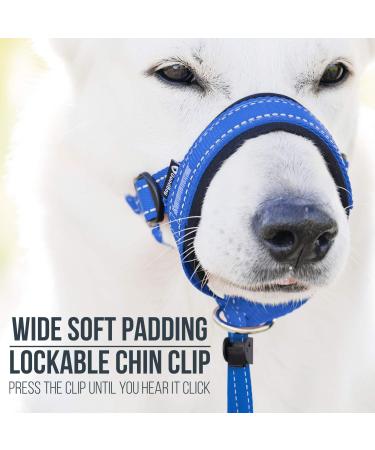 Goodboy Dog Halver with Service Belt - Padded Halter for All Dog Sizes (Size 2 Blue Nylon) - Prevents Pulling on Leash - Buy Online on GoSupps.com