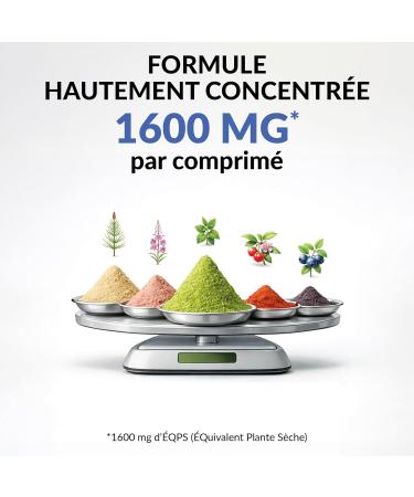 BIO 5 Chute des Cheveux Anti-Chute Bio 90 Comprim s (3 Mois) Cheveux Fins & Clairsem s Compl ment Alimentaire Homme & Femme Fabriqu en France - Buy Online on GoSupps.com