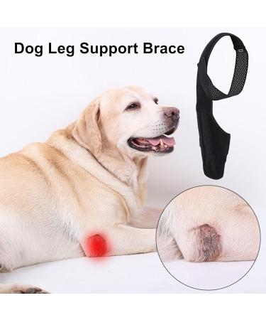 Dog Leg Support Brace - Hip Support for Dogs - Back Leg Hip Support with Metal Strip High Elasticity Breathable Leg Protector for Recovery Period Black Medium - Buy Online on GoSupps.com